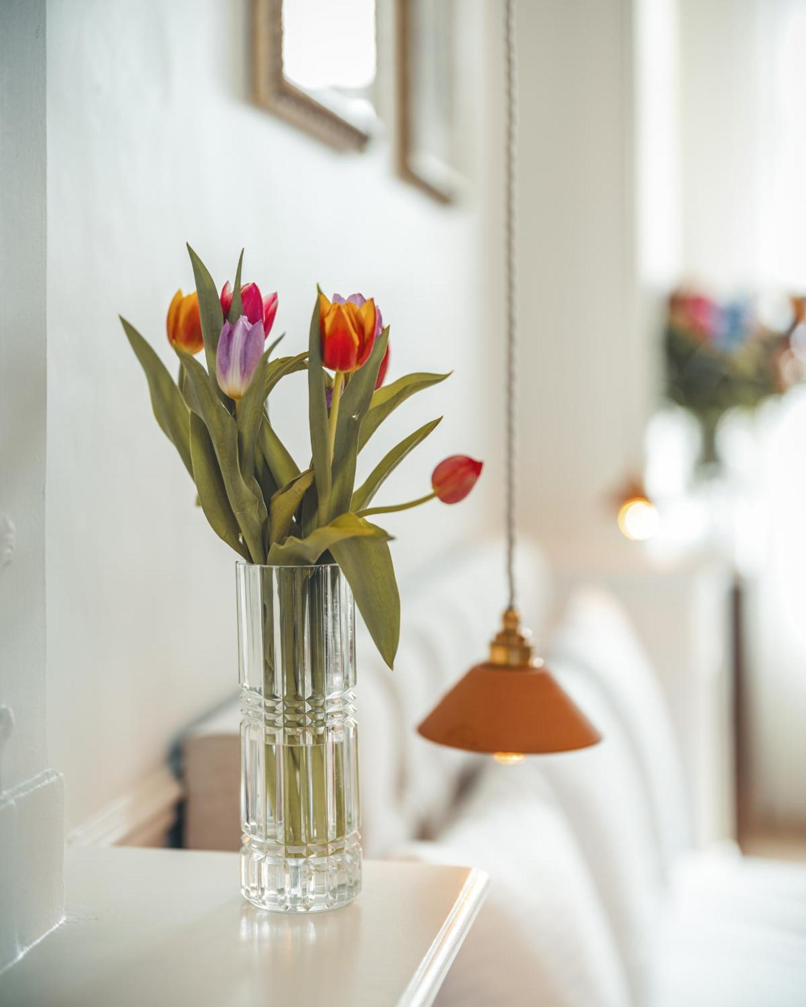 B&B Barabas บรูจส์ ภายนอก รูปภาพ